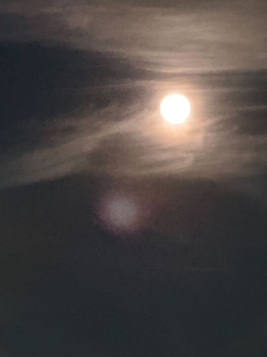 Grasshopper Farms 27.jpg