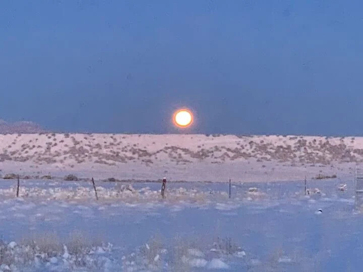 Progress Report: 12.5.2025