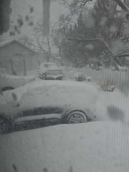 Grasshopper Farms 2.jpg