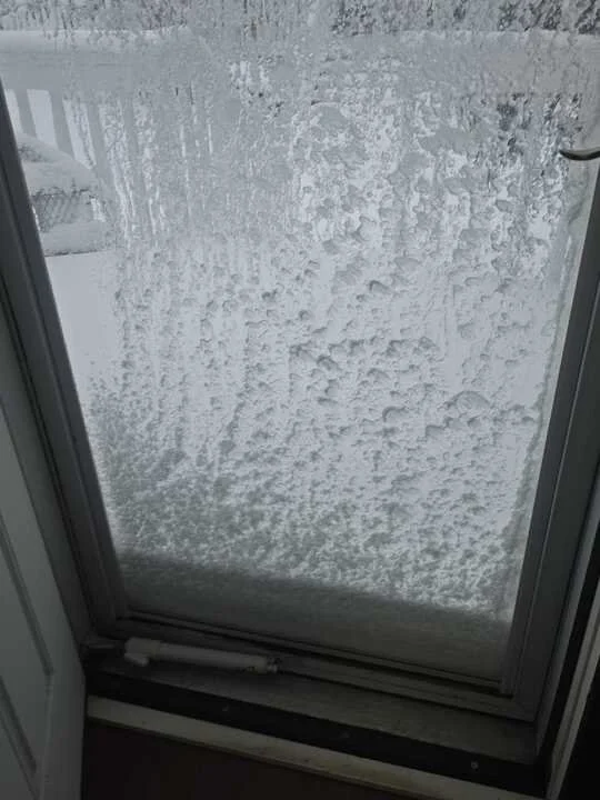 Grasshopper Farms 1.jpg