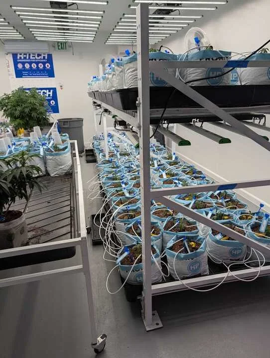 Grasshopper Farms 8.jpg