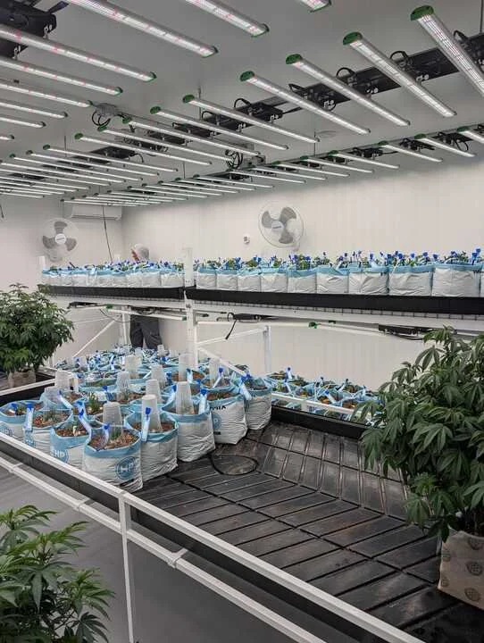 Grasshopper Farms 9.jpg