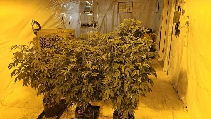 Grasshopper Farms 11.jpg