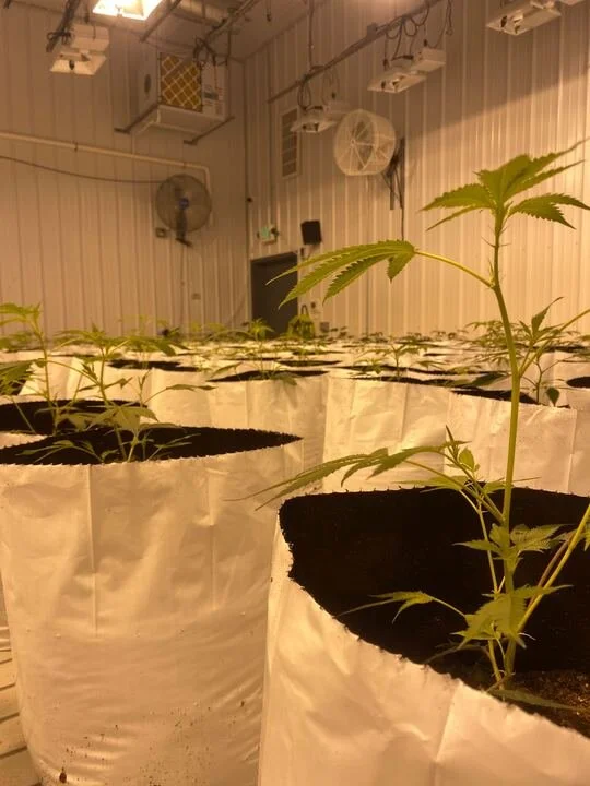 Grasshopper Farms 28.jpg