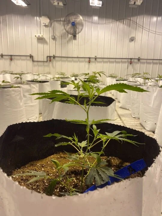 Grasshopper Farms 30.jpg