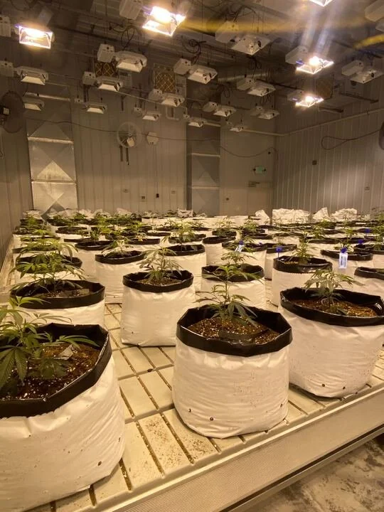 Grasshopper Farms 32.jpg