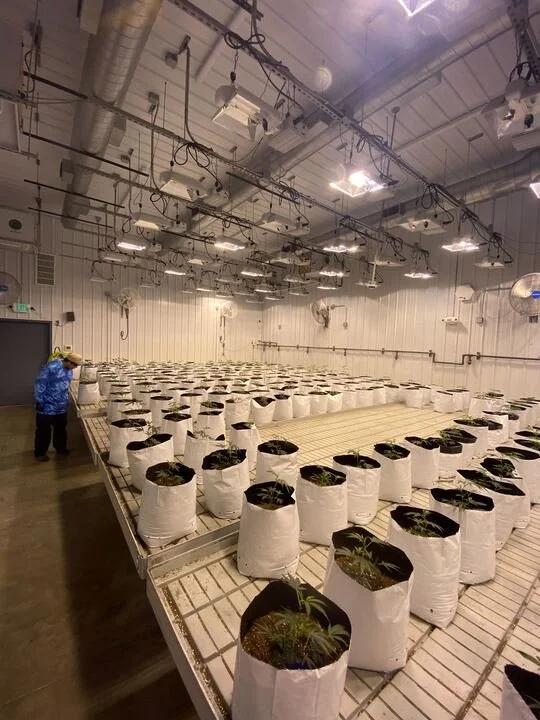 Grasshopper Farms 33.jpg