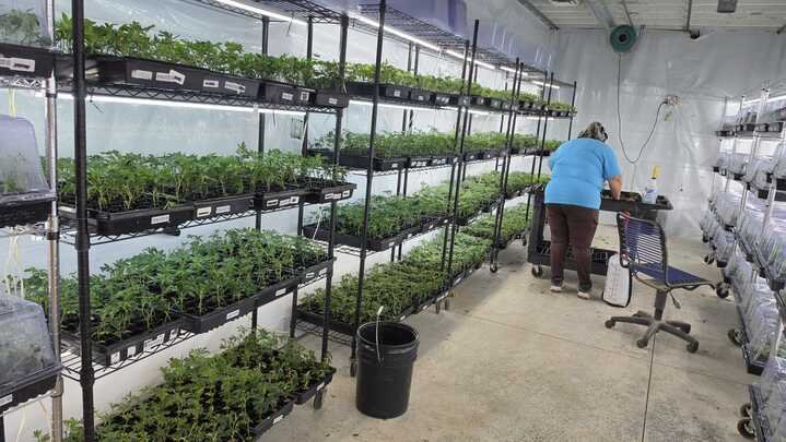 Grasshopper Farms 2.jpg