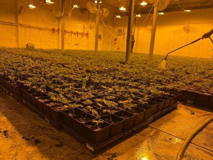 Grasshopper Farms 9.jpg