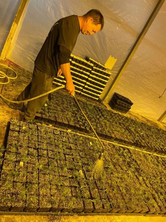 Grasshopper Farms 16.jpg