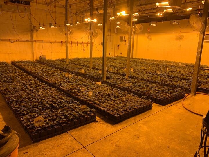 Grasshopper Farms 18.jpg