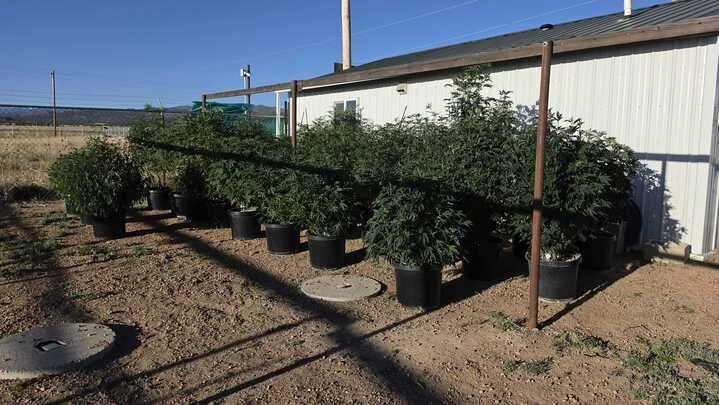 Grasshopper Farms 21.jpg