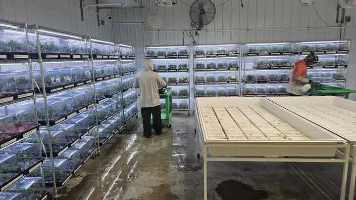 Grasshopper Farms 33.jpg