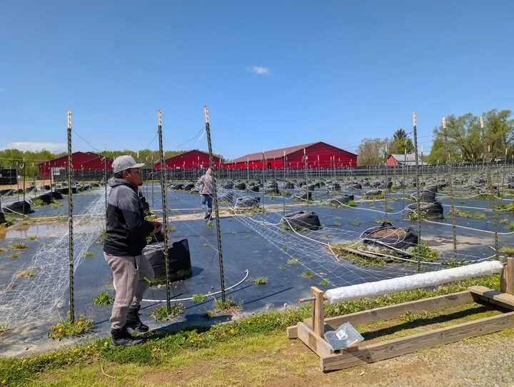Grasshopper Farms 41.jpg