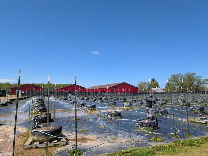 Grasshopper Farms 43.jpg