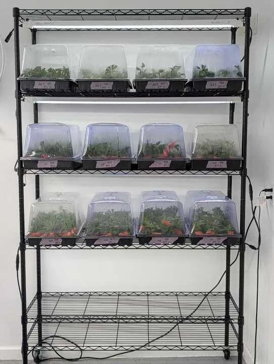 Grasshopper Farms 45.jpg