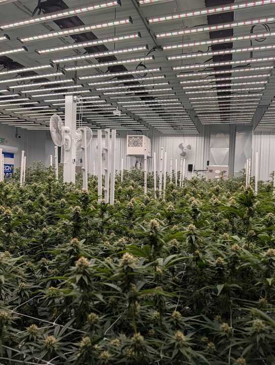 Grasshopper Farms 12.jpg