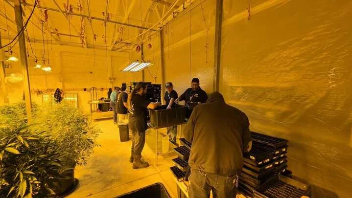 Grasshopper Farms 2.jpg
