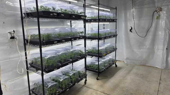 Grasshopper Farms 6.jpg