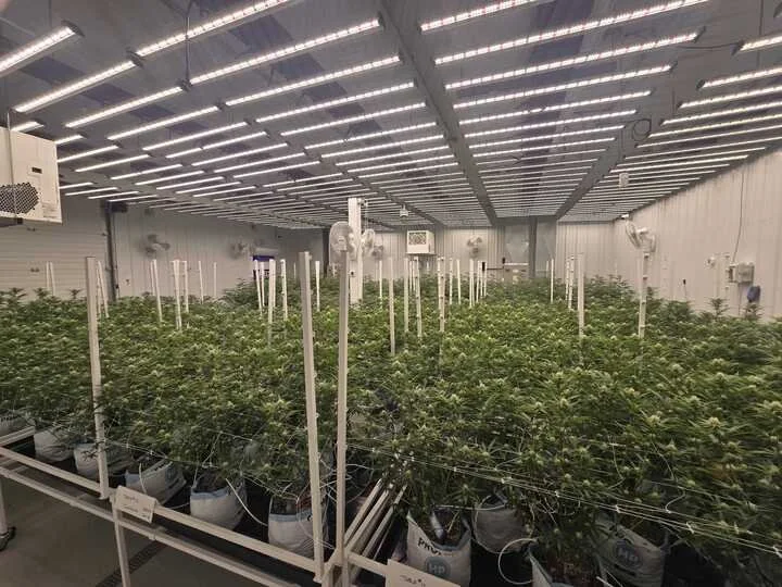 Grasshopper Farms 11.jpg