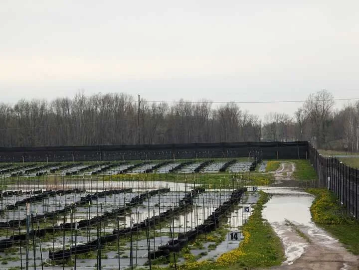 Grasshopper Farms 27.jpg