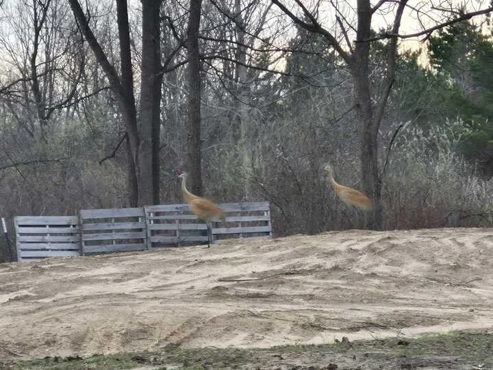 Grasshopper Farms 2.jpg