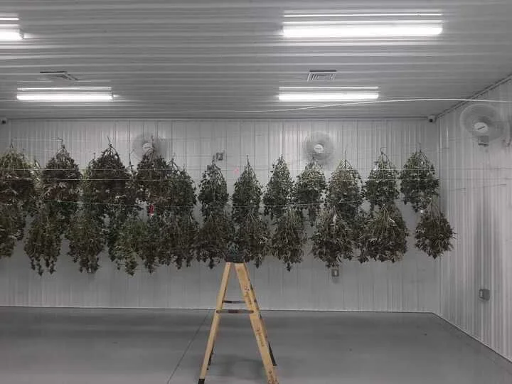 Grasshopper Farms 12.jpg
