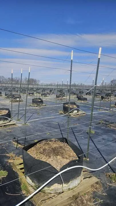 Grasshopper Farms 27.jpg
