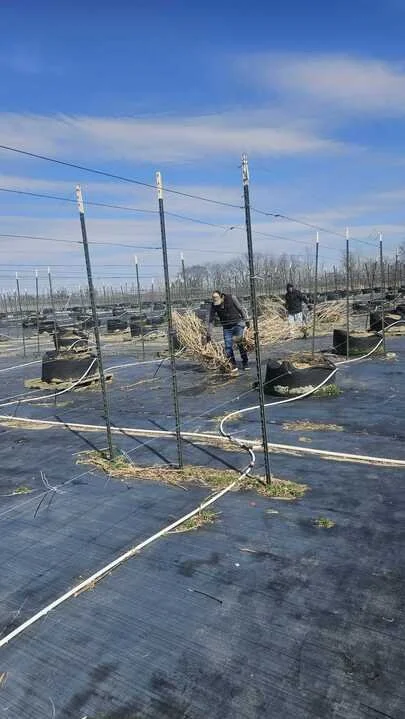 Grasshopper Farms 26.jpg