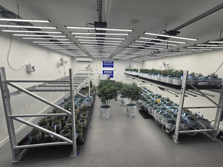 Grasshopper Farms 3.jpg