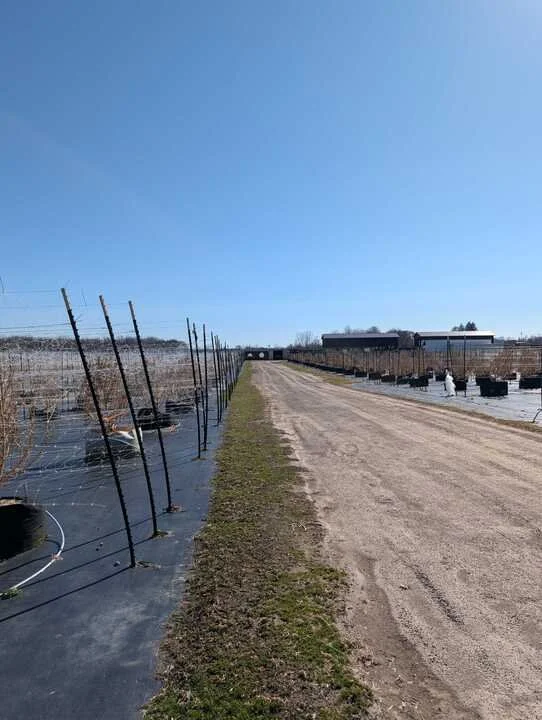 Grasshopper Farms 24.jpg