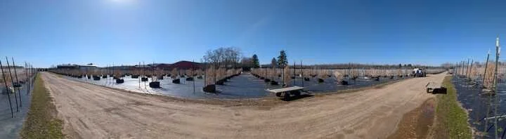 Grasshopper Farms 25.jpg