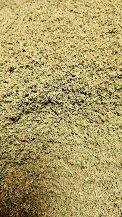 Grasshopper Farms 26.jpg