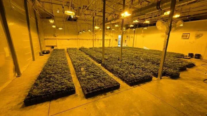 Grasshopper Farms 25.jpg