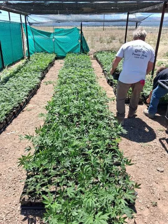 Grasshopper Farms 27.jpg