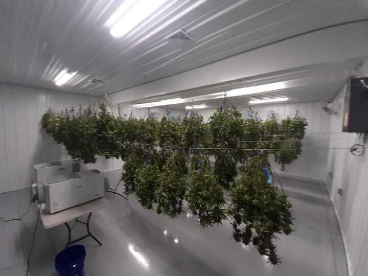 Grasshopper Farms 4.jpg