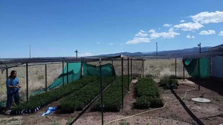 Grasshopper Farms 5.jpg