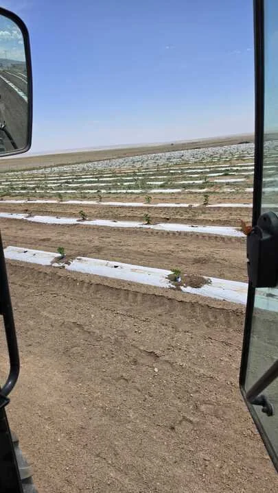 Grasshopper Farms 15.jpg