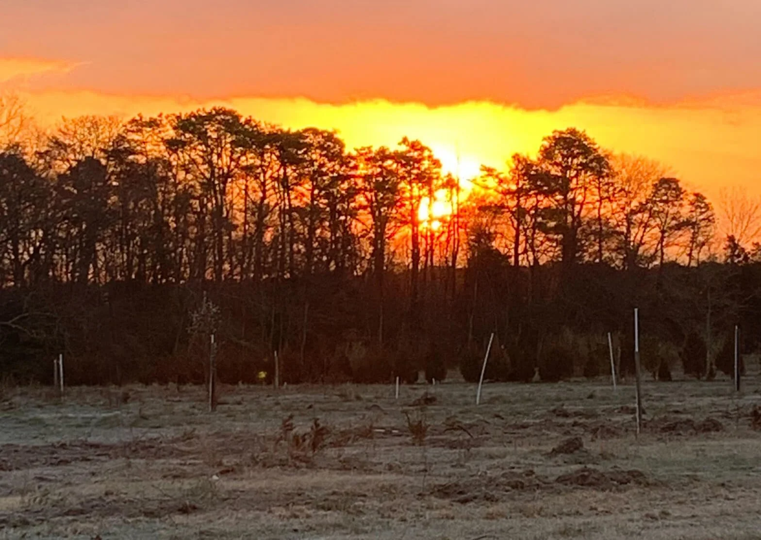 New Jersey Marijuana Farm ┃ Farms