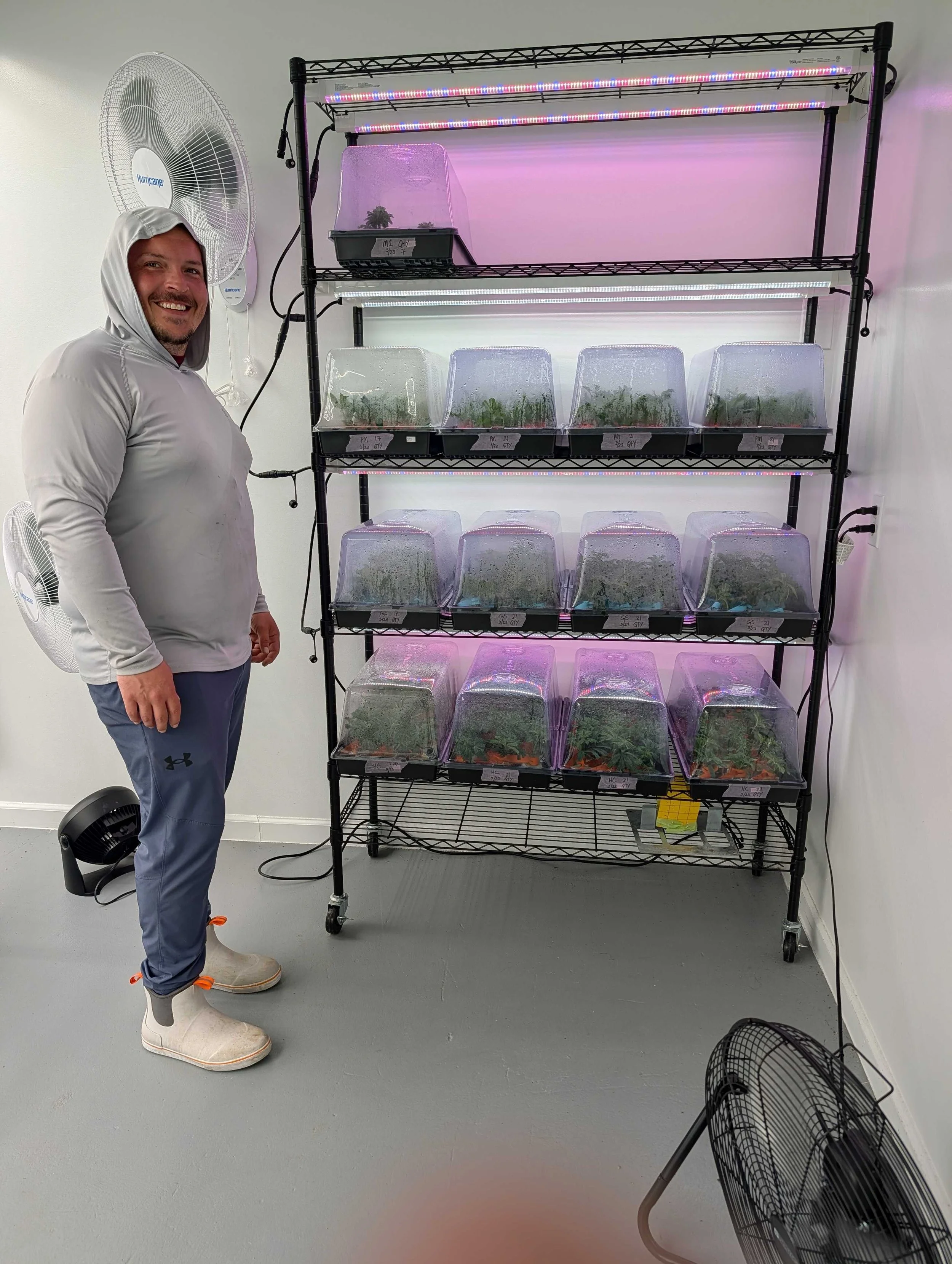 All of our plants start from clones from our healthy mothers. 
