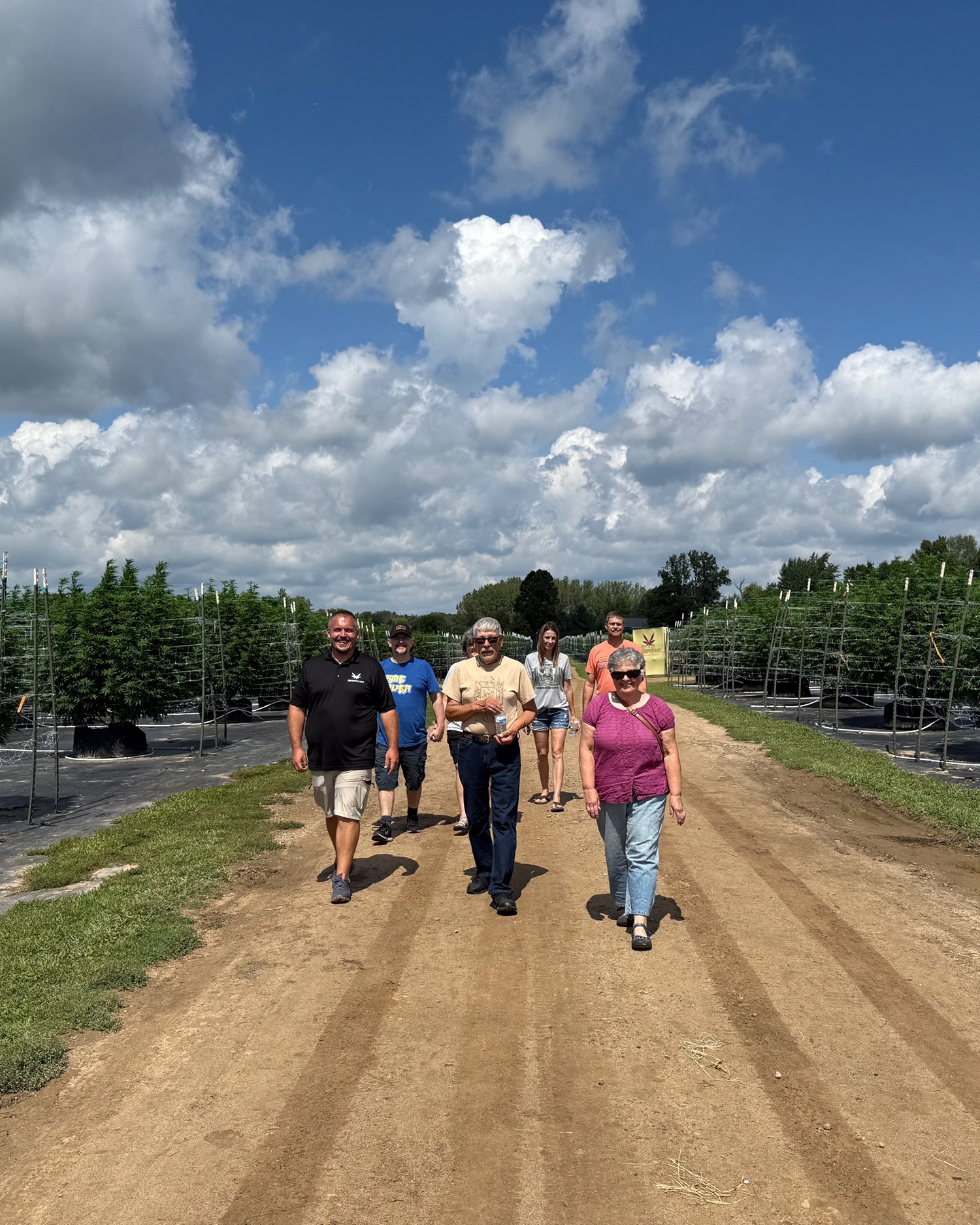 A group of people walking on a dirt path through a cannabis farm under a partly cloudy sky.