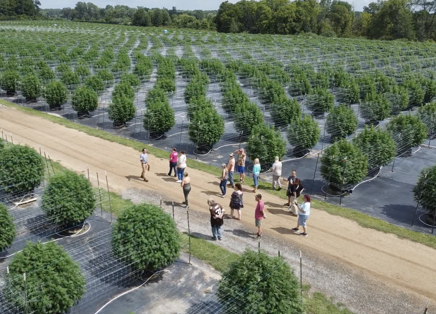 A group of people walking and observing plants in a large outdoor nursery with rows of potted plants covered in plastic and supported by netting, surrounded by trees and a dirt pathway.