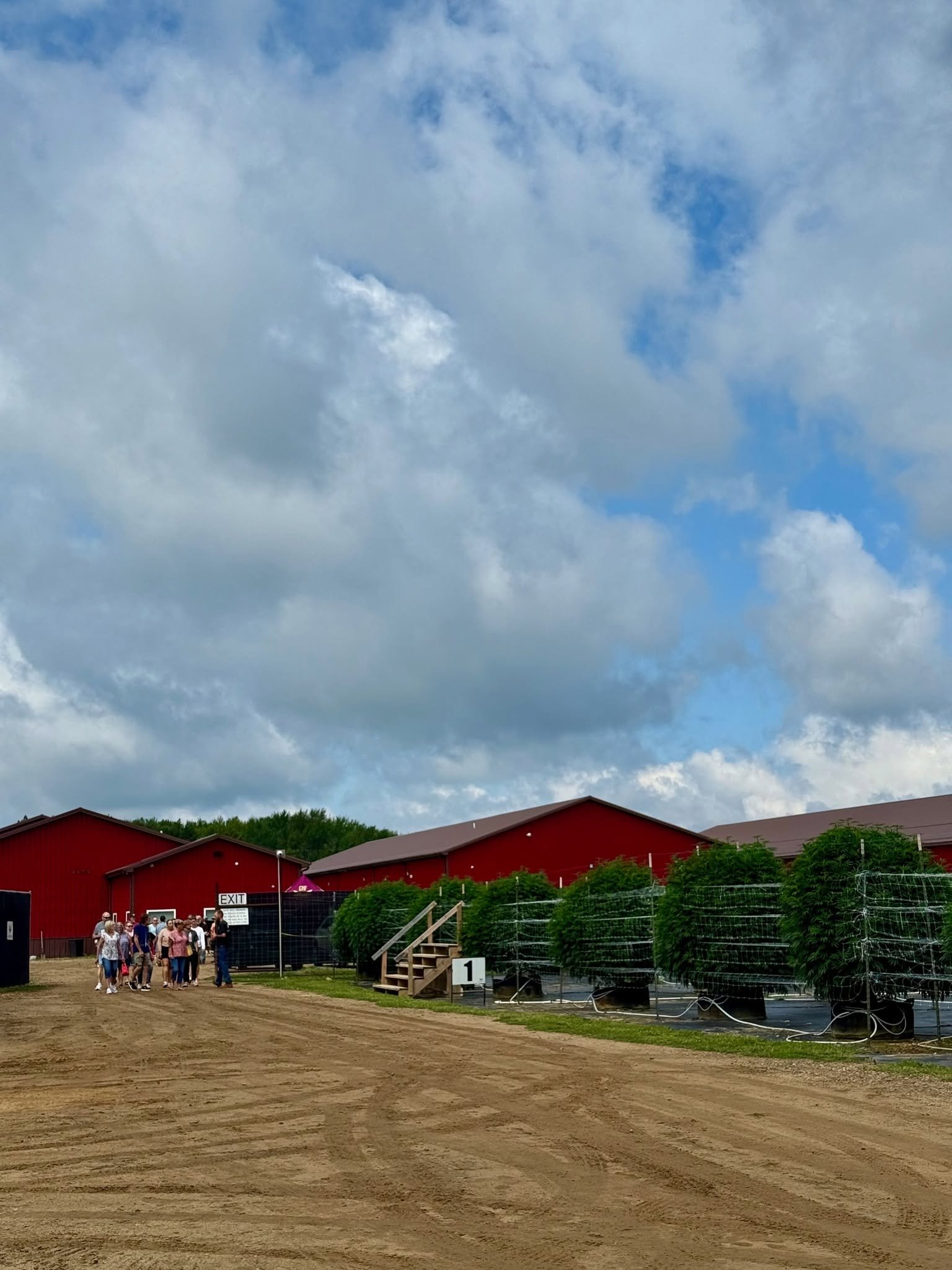 Group of people walking on a dirt path next to rows of potted plants in an outdoor farm setting with red barns in the background and cloudy sky.