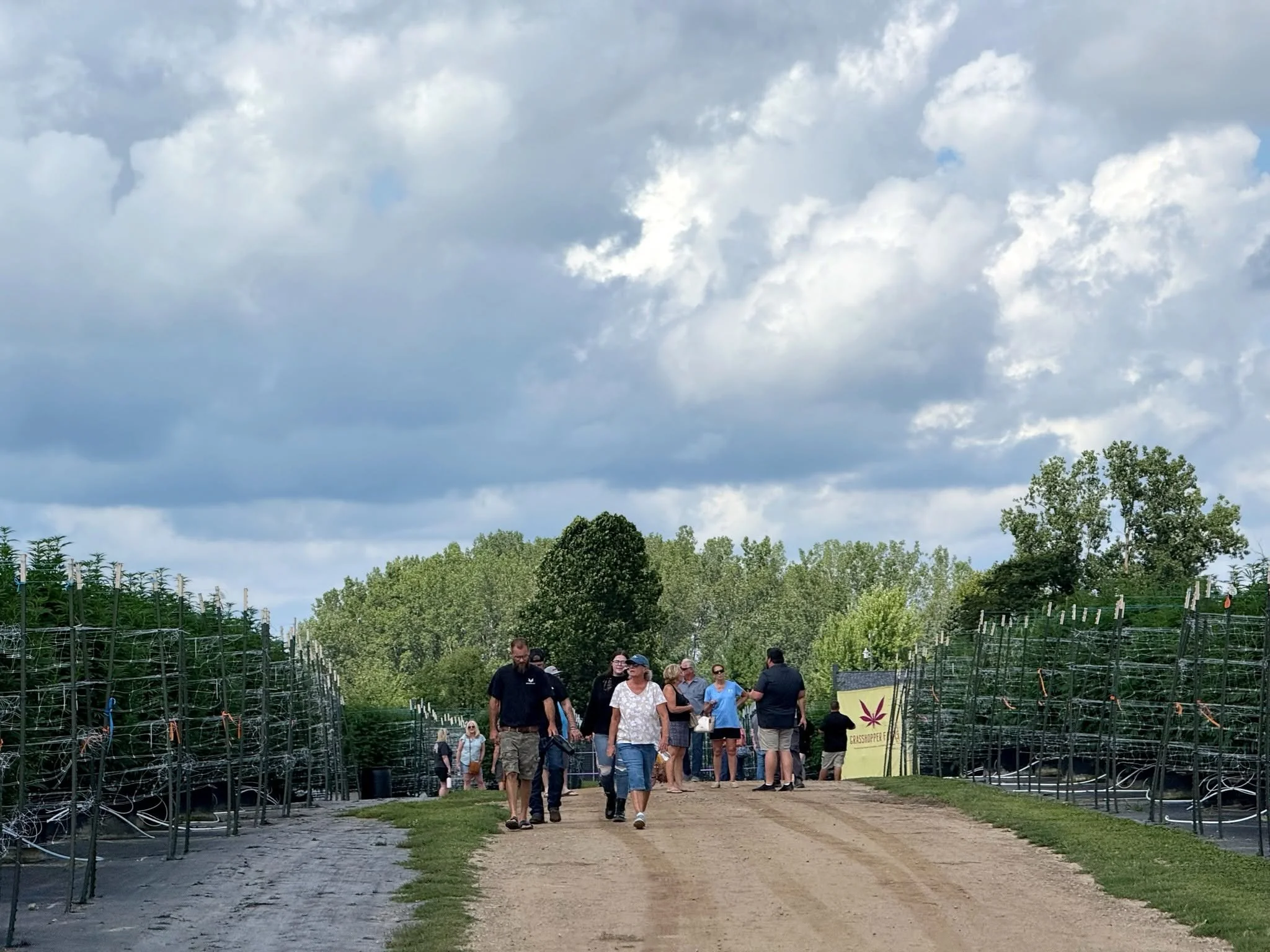 A group of people walking through a field with rows of plants on either side, under a cloudy sky, with a yellow sign and trees in the background.