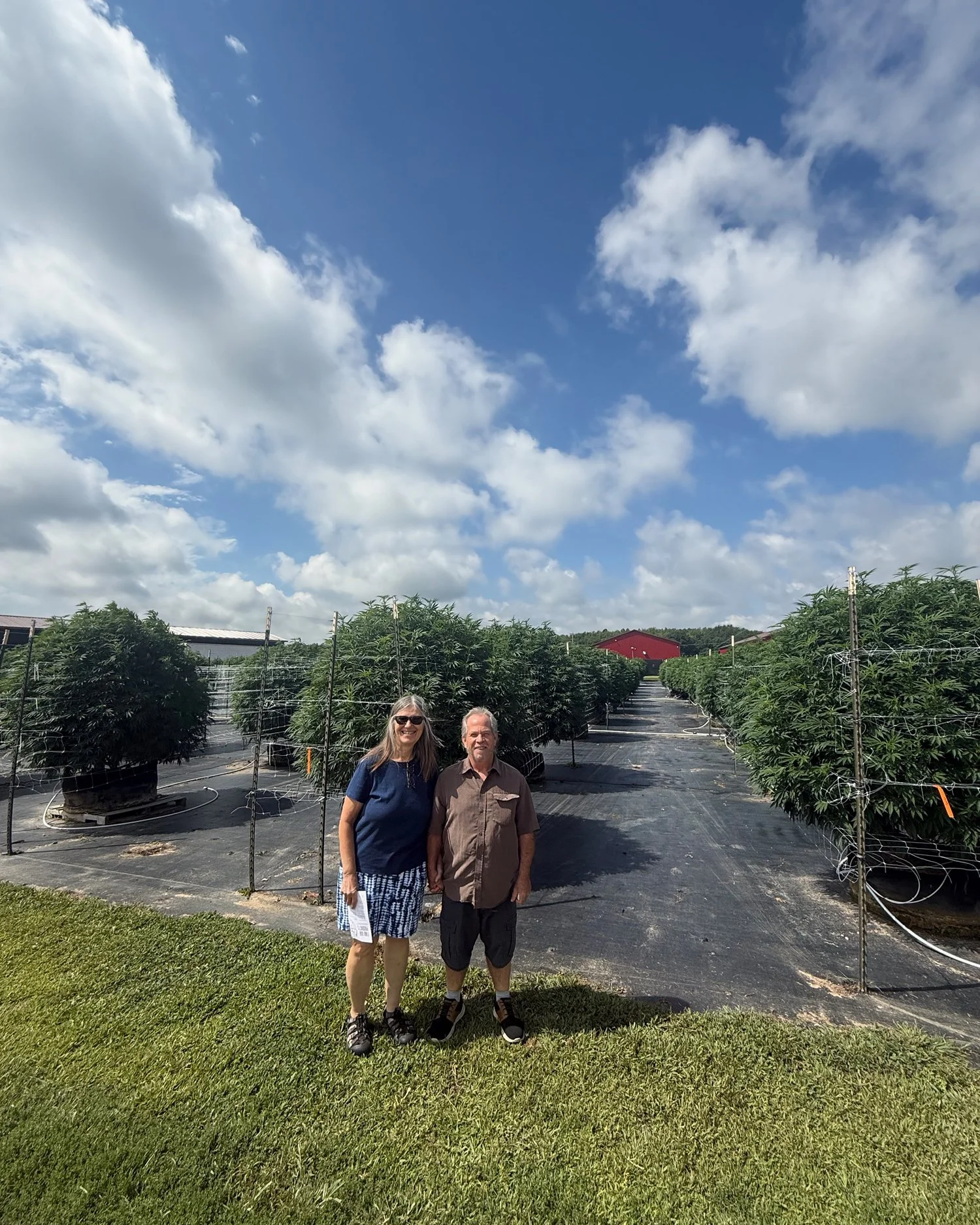 A smiling woman and man standing outdoors on a grassy area in front of a field of large cannabis plants. The sky is partly cloudy with blue sky visible.