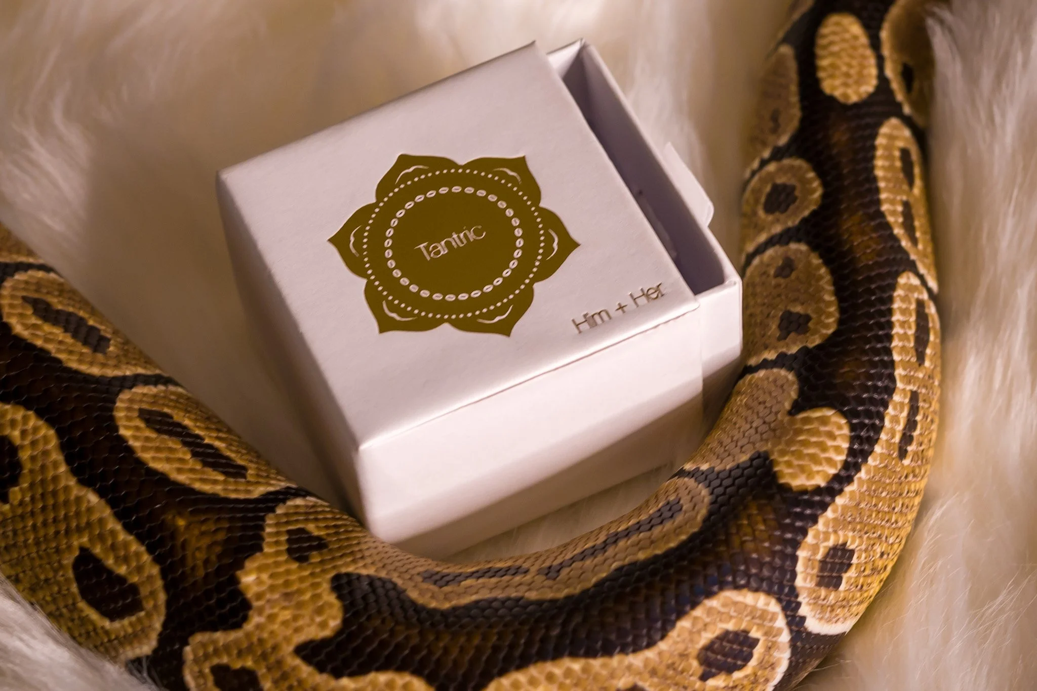 Tantric: Sensual