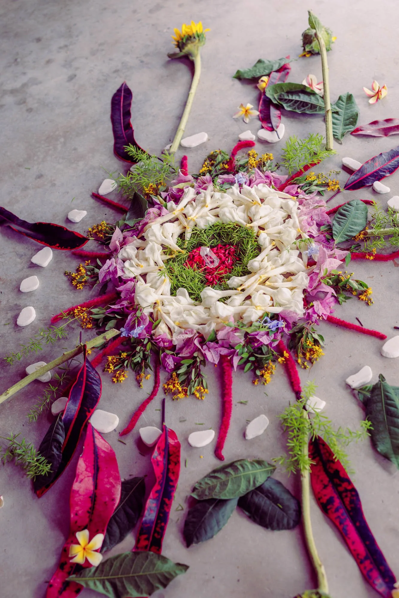 Third Eye Collective