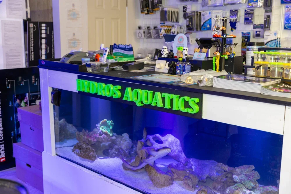 Hydros 1year ANN. BBQ