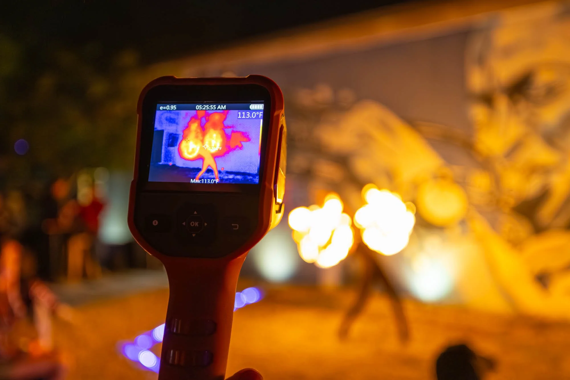 Third Eye Collective fire Performance