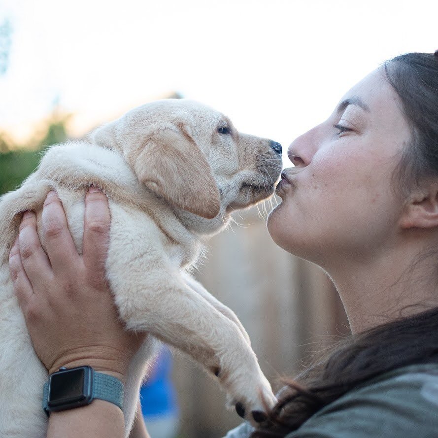 Why hello, social media world!⁣⁣⁣
⁣⁣⁣
I&rsquo;m Kristina, founder of Trailhead Dog Training. I started Trailhead to be able to help guide people and their dogs to a place of understanding and cooperation. For some, that may just mean going for a peac